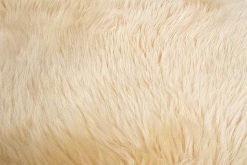 tippichreinigung münchen kreis